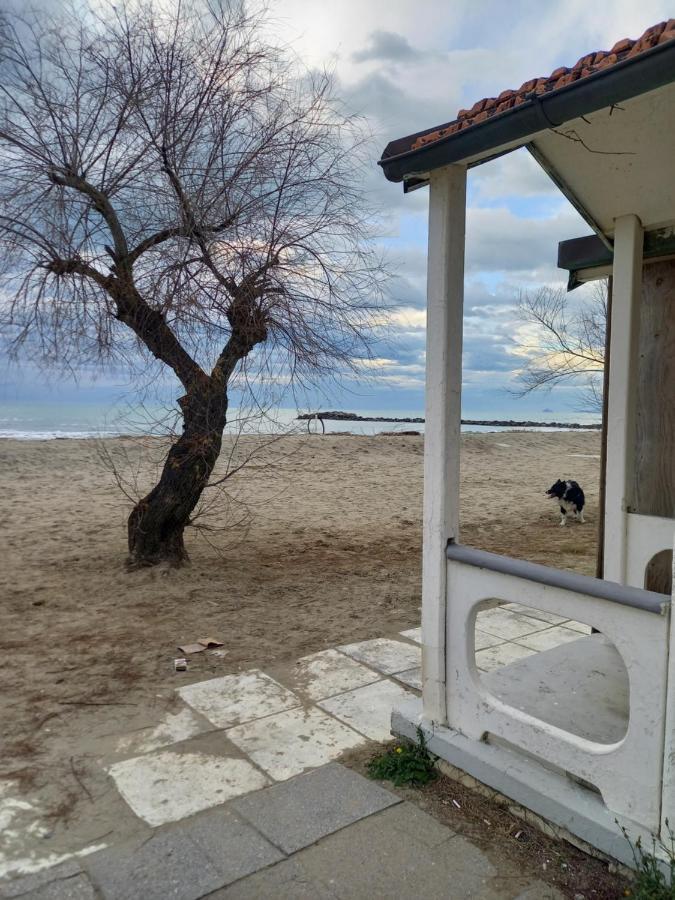 Bilocale Climatizzato A 850M Dalla Spiaggia Casa Katia Marina di Massa Exterior photo
